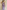Iris Dress Lilac